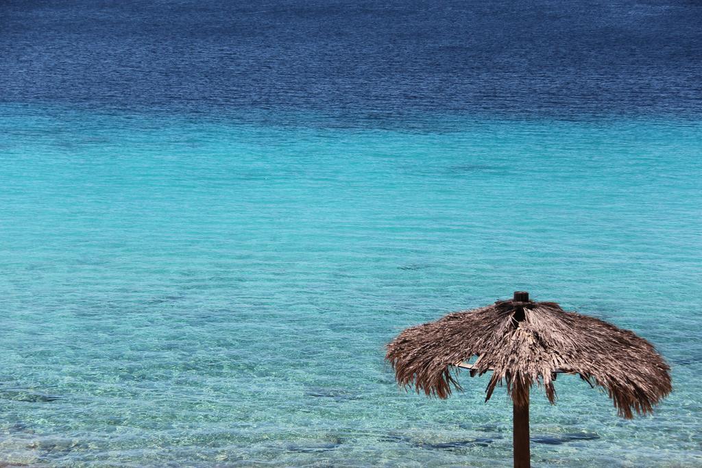 Bonaire Apartment クラレンダイク エクステリア 写真